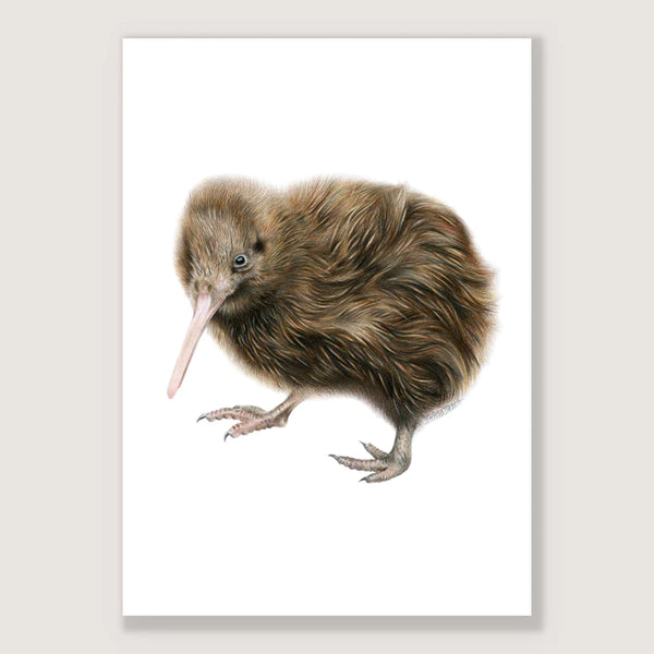 Kiwi Print - A3 / Unframed