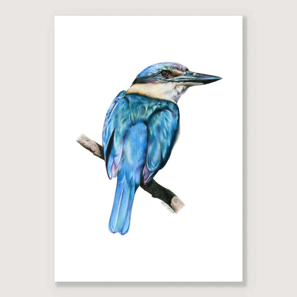 Kōtare Print - A4 / Unframed