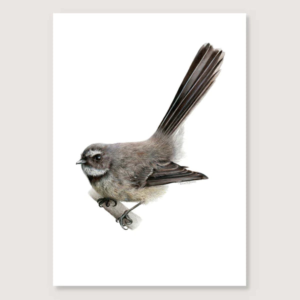 Pīwakawaka Print - A4 / Unframed