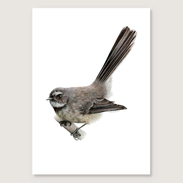 Pīwakawaka Print - A3 / Unframed