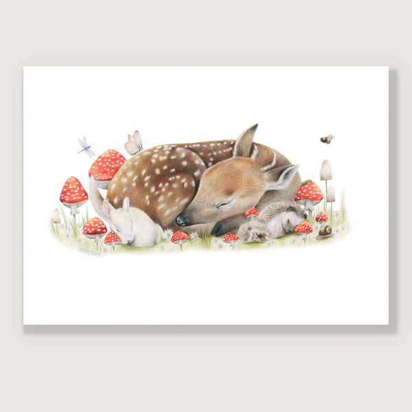 Sleeping Doe Print - A5 / Unframed