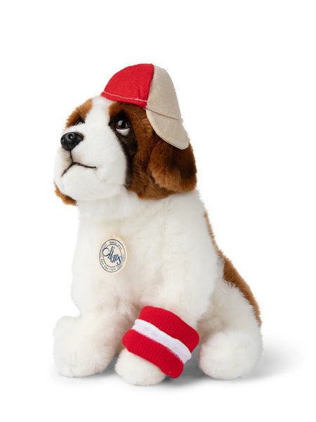 B.T. Chaps Herman The St.Bernard