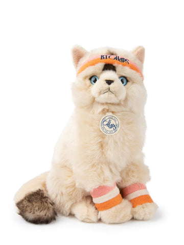 B.T. Chaps Dolly The Ragdoll Cat