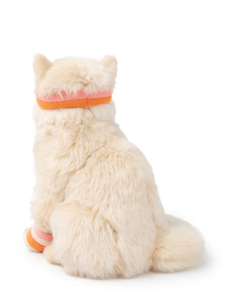 B.T. Chaps Dolly The Ragdoll Cat