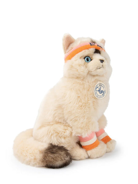 B.T. Chaps Dolly The Ragdoll Cat