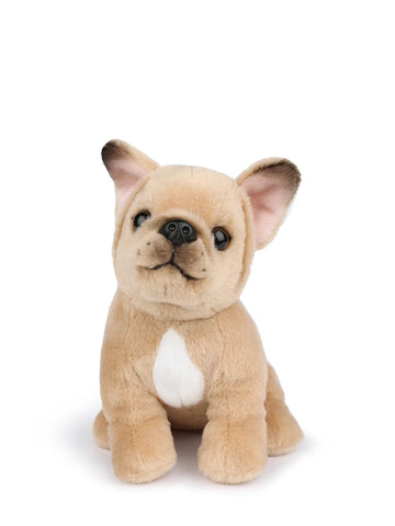 B.T. Chaps Philippe The French Bulldog