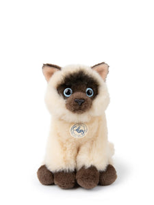 B.T. Chaps Eddie The Siamese Cat in box