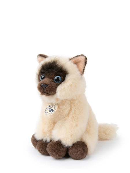 B.T. Chaps Eddie The Siamese Cat in box