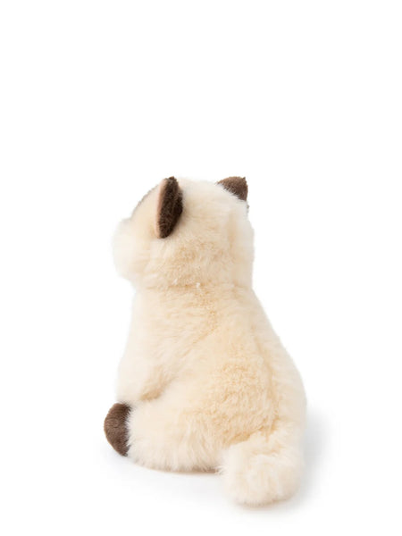 B.T. Chaps Eddie The Siamese Cat in box