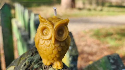 Boho Jo - Beeswax Candle - Small Owl
