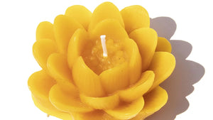 Boho Jo - Beeswax Candle - Open Lotus