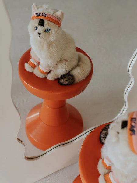 B.T. Chaps Dolly The Ragdoll Cat