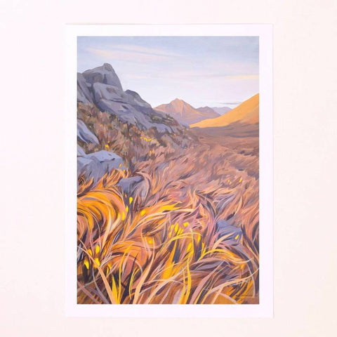 Kat Stefanova - Mt. Owen, Kahurangi Nat. Park - A3 Print