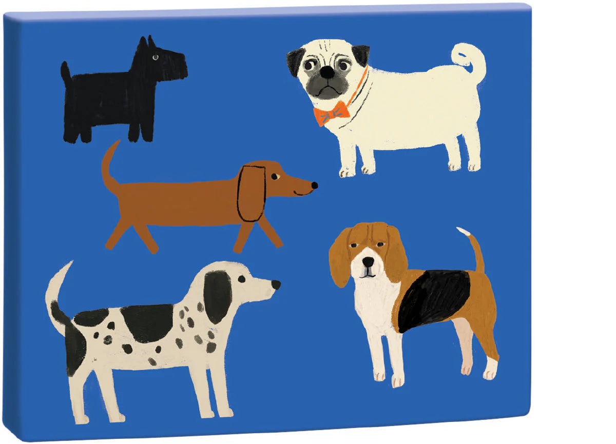 Chic Notecard Box - Shaggy Dogs