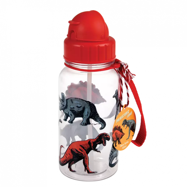 Children's Water Bottle with Straw - 500ml - Prehistoric Land