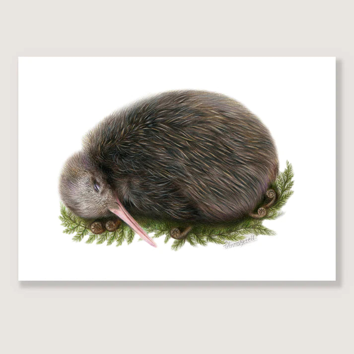 Sleeping Kiwi Print - A5 / Unframed