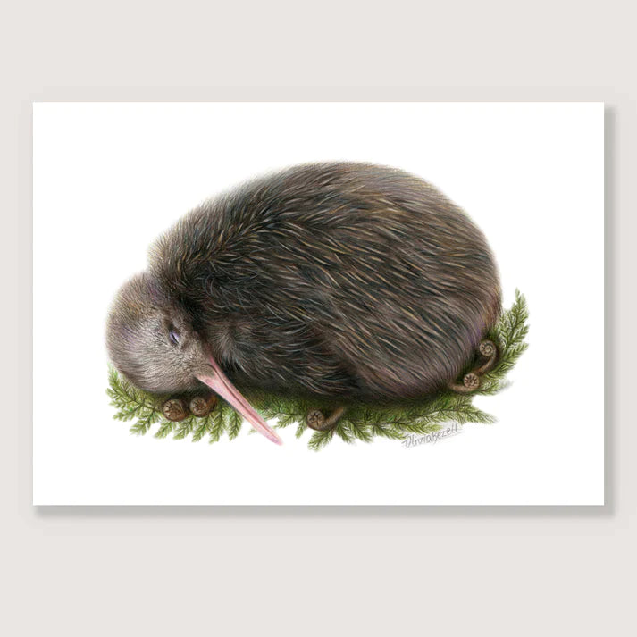 Sleeping Kiwi Print - A3 / Unframed