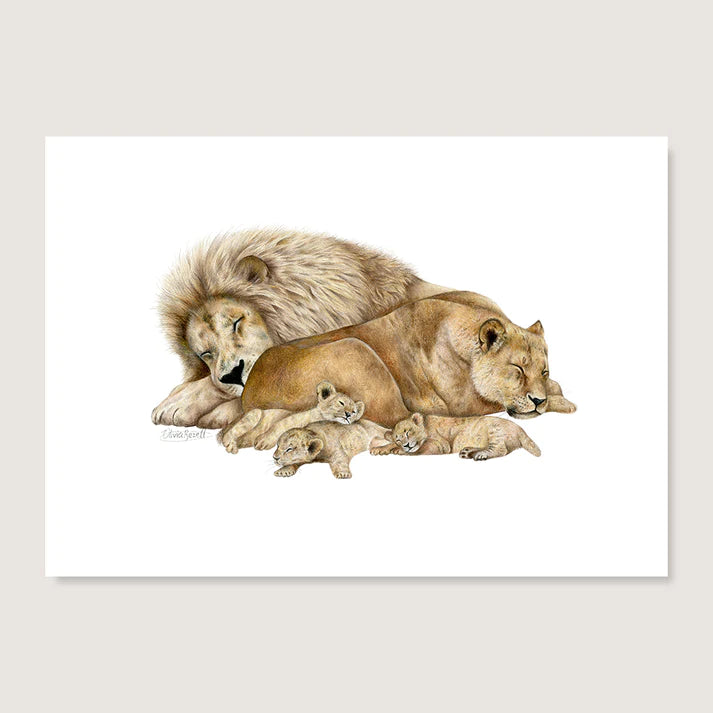 The Lion Sleeps Tonight Print - A4 / Unframed