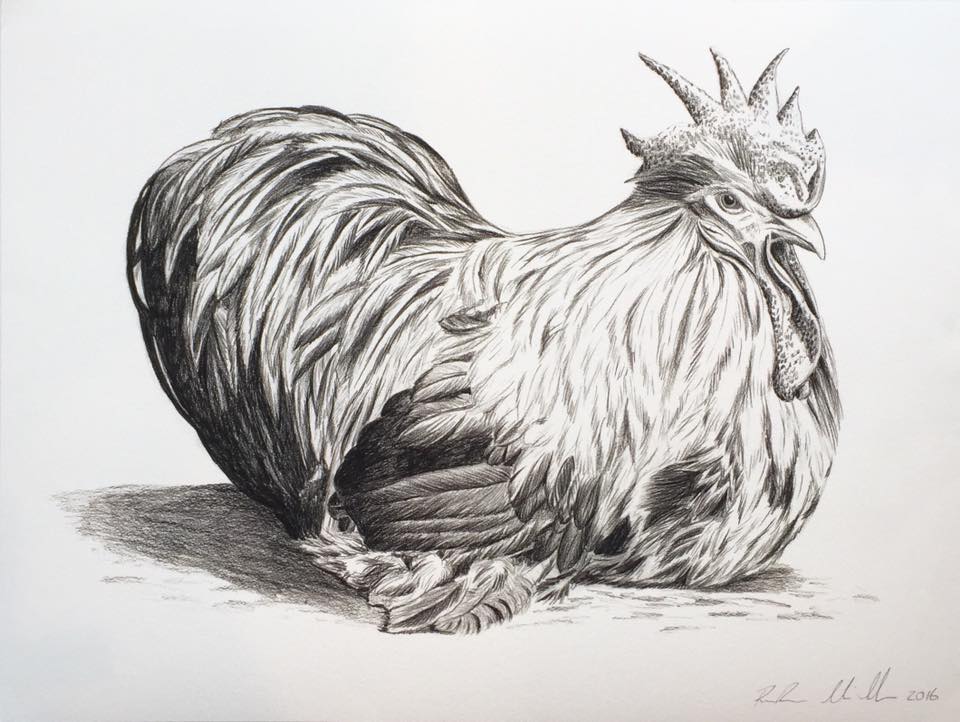 RM Rooster Print