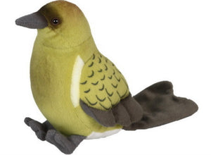 Sound Bird - bellbird