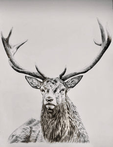 RM Stag Print