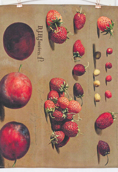 Lazybones - Tea Towel - Strawberries and Plums